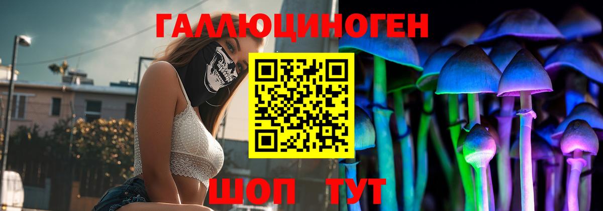 Псилоцибиновые грибы мицелий Белебей